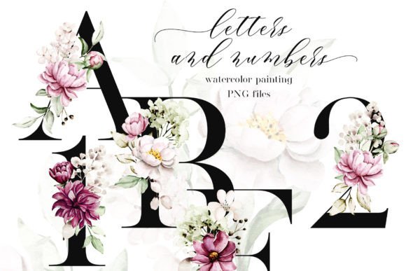 Alphabet with Watercolor Flowers Letters: Illustrations Review