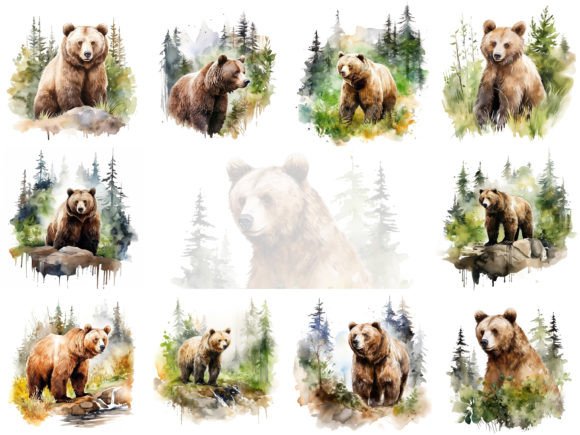 Bear Watercolor Paintings Collection: Illustrations Review