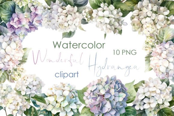 Hydrangea PNG Illustrations for Commercial Design
