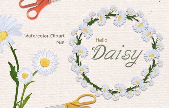 Watercolor Daisy Flora Clipart Graphic for Crafts Branding