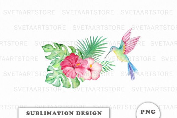 Watercolor Tropic Hummingbird PNG for Crafts & Creative Design Projects