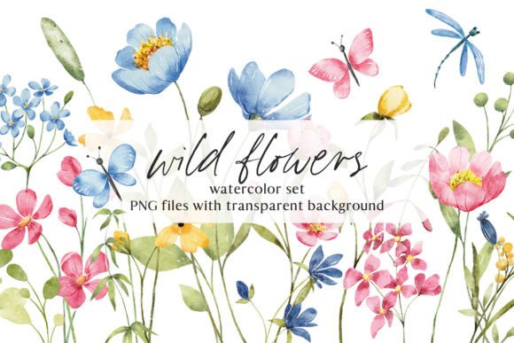 Wild Flowers Watercolor Clipart PNG Illustrations