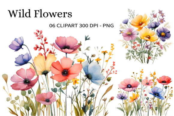 Wild Flowers Watercolor Clipart PNG Illustrations
